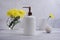 Bathroom accessories, flower on marble background ceramics fresh