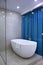 Bathroom in an expensive hotel. Blue curtain and glass partition. Photos in the interior without people. Vertical photo. Copy of