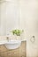 Bathroom interior decoration with fancy green plants on the vase