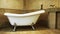 Bathroom Luxury Vintage Tub