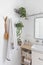 Bathroom white minimalist Nordic interior sink with mirror houseplant on shelves indoor architecture