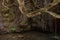 Baths of Aphrodite Grotto with pond and water spring in Akamas