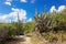 The Baths Virgin Gorda, British Virgin Island (BVI)