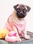 Bathtime for a Pug Puppy in Pink