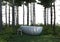 bathtub in pine forest on white background