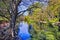 Bathurst Machatie park pond tree