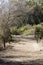 Batiquitos Lagoon Trails surrounding lake