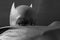 Batman hides parts of his face in his cloak