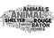Baton Rouge Animal Shelter Word Cloud