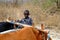 Batonka Boy & Ox Cart, Gokwe North, Zimbabwe