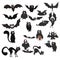 Bats and cats on white background