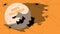 Bats flying to moon, orange background with spiders and shadow