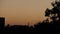 Bats silhouetted against the setting sun, over a city in India