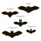 Bats. Vector black drawing silhouette image set.