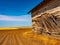 Battered Barn and Gold