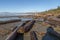 Battered drift wood stranded by high tide, Long Beach, BC