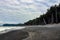 Battered driftwood and assorted ocean debris accumulated on the black sands of the Lost Coast backpacking trail.