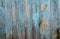 Battered faded old light blue painted vertical wooden boards with peeling.