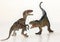 A Battle Between a Carnotaurus and a Velociraptor