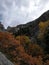 Battle Creek Canyon - Colors