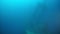 Battle gun of sunken ship wreck in underwater Truk Islands.