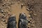 Battle-Worn: Dirty Military Boots in a Muddy Puddle