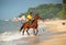 Batu Ferringhi, Malaysia: Horse Riding on Beach