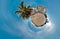 Batumi. Georgia. Palm tree. Blue sky. Mini planet Earth. Little planet earth with 360 viewing angel. Globe panorama of world