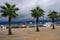 Batumi seafront with palm trees,motor boats,Georgia