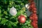 Baubles and garlands in traditional Christmas tree