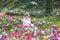 Bautiful funny baby girl playing in field of flowers