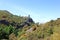 Bautiful landscape with bushes and plants on a sunny day