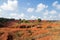 Bauxite mine landscape