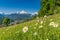 Bavarian Alps with beautiful flowers and Watzmann in springtime, Berchtesgadener Land, Germany