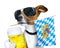 Bavarian beer dog festival