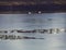 Bavarian counrtyside, frozen lake with landscape reflection at dusk