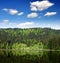 Bavarian Forest - Germany