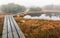 Bavarian Forest and the wooden pavements above the peat. Autumn forest in Bavarian forest national park, Germany.