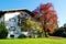 A Bavarian house in autumn color tree