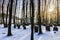 Bavarian Jewish Forest Graveyard