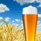 Bavarian wheat beer in a wheat field