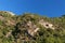 Bavella mountain in Corsica island