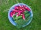 A bawl of fresh garden vegetables: radish, cucumbers and dill