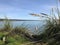 Bay through beach grasses