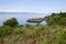 Bay of bones on the Lake Ohrid, North Macedonia