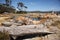 Bay of fires scenics