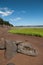 Bay of Fundy Shoreline