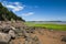 Bay of Fundy Shoreline