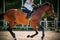 A bay horse gallops quickly through the arena, with a skilled rider on its saddle. Equestrian competitions in show jumping.