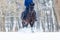 Bay horse with rider galloping on winter field